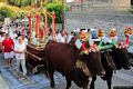 Barumini-Festa di Santa Lucia