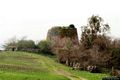 Birori-resti del nuraghe Sorolo