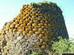 Birori-resti del nuraghe Sorolo