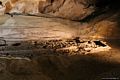 Dorgali-Grotta del Bue Marino: nell’interno della grotta la sala della Foca Monaca