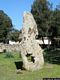 Fonni-Sito archeologico di San Michele Orrui: il menhir I
