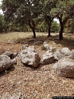 Nuoro-Villaggio di Noddule: resti della Tomba di giganti