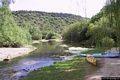 Oliena-Su Gologone-torrente che si immette nel fiume Cedrino
