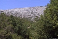 Oliena-Villaggio Sa Sedda e Sos Carros: i monti a nord del villaggio