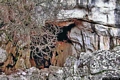Oliena-La Grotta di Sa Ohe