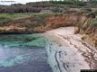 Porto Torres-Scoglio Ricco: la spiaggia in inverno invasa dalla Posidonia