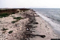 Sant’Antioco-La spiaggia Canisoni