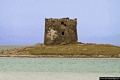 Stintino-Mare di Stintino: la Torre della Pelosa