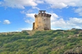 Stintino-La Torre di Capo Falcone