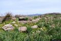 TresNuraghes-Resti della Tomba di giganti di Pischina ’e Ainos