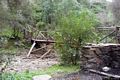 Vallermosa: il parco Naturale di Gutturu Mannu: il ponticello in legno